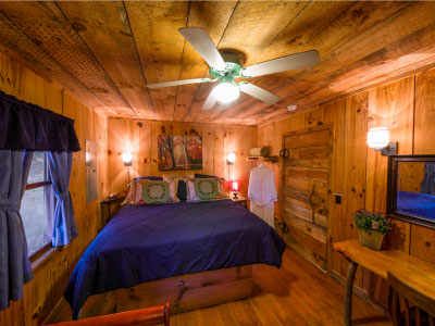 Cabin Fever Saluda