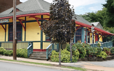 Saluda Website Featured Image (1)