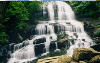 Saluda Website Featured Image