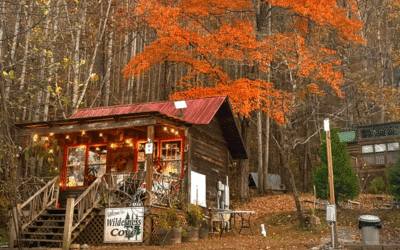 Wilderness Cove – Featured Image