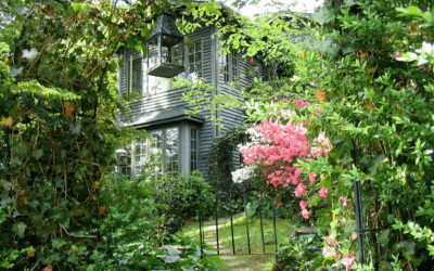 Charles Street Garden Featured