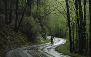 0_3 → Discover Saluda, NC