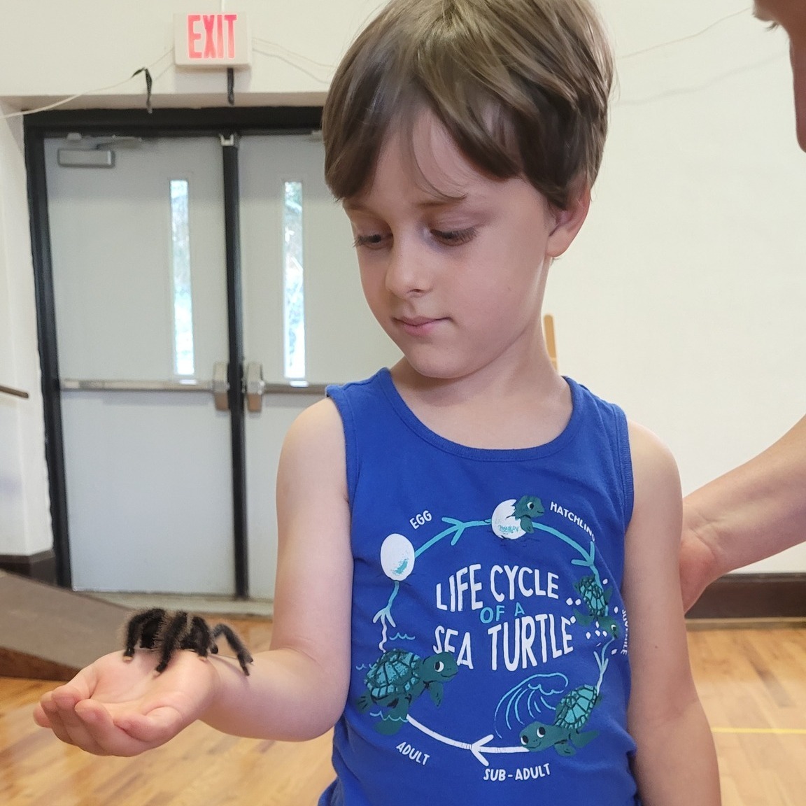 Critter Keeper → Discover Saluda, NC