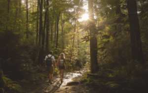 Featured Image → Discover Saluda, NC