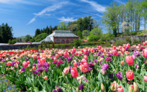 Biltmore Estate Gardens → Discover Saluda, NC