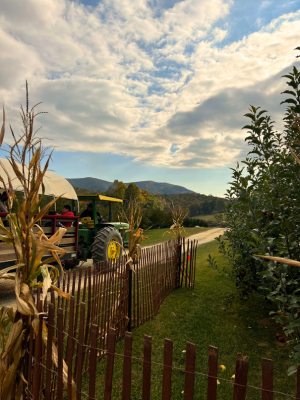 Green tractor with a yellow canopy beside a wooden fence in a rural garden, with corn stalks and rolling hills under a cloudy sky.