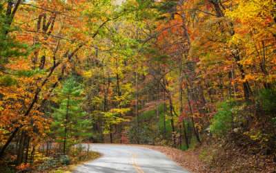 Blog - FallSaluda → Discover Saluda, NC Autumn street scene in a small town: orange-leaved trees flank brick storefronts, including Thompson's Market & Grill, with parked cars and a stop sign.