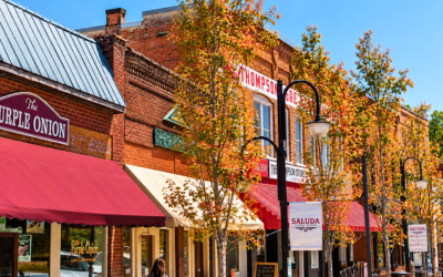 Blog-Feature-Fall-Saludawebp → Discover Saluda, NC Busy downtown street with brick storefronts, red awnings, and fall-colored trees; storefront signs include Purple Onion and Thompson's Market (Saluda).