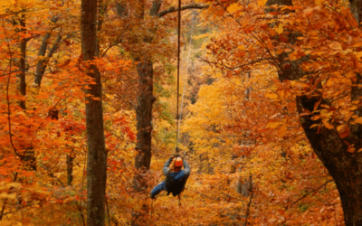 Blog - The Gorge Fall → Discover Saluda, NC Person wearing a helmet gliding on a zip line through an autumn forest with orange and gold leaves nearby trees